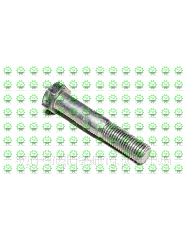 Болт M20 X 110