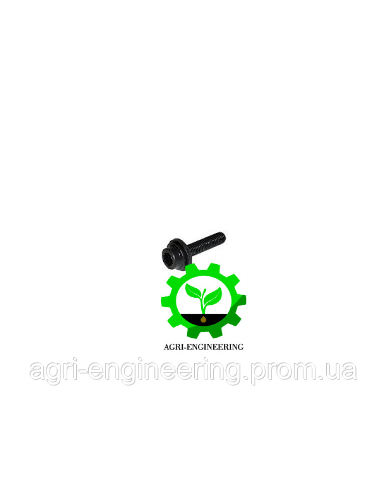 Болт з головкою системи TORX з чорного металу