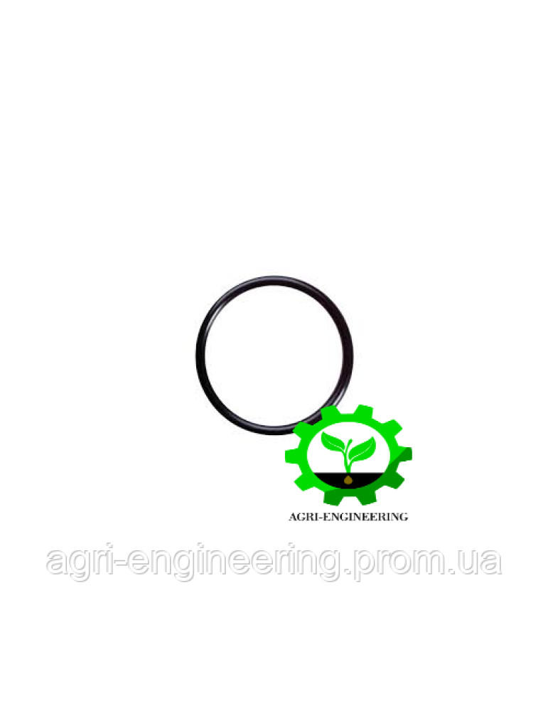 Кільце ущільнювальне насоса гідростатики (M4237T)